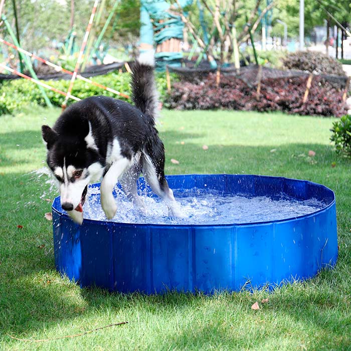 PawlyPool, večnamenski zložljivi bazen, ki se postavi brez napihovanja