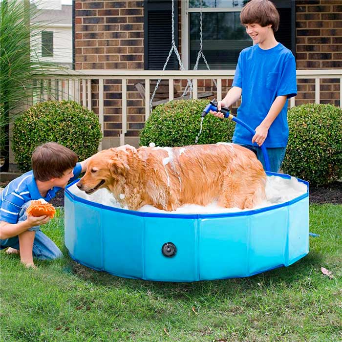 PawlyPool, večnamenski zložljivi bazen, ki se postavi brez napihovanja