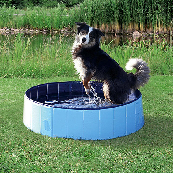 PawlyPool, večnamenski zložljivi bazen, ki se postavi brez napihovanja