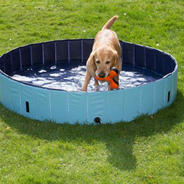 PawlyPool, večnamenski zložljivi bazen, ki se postavi brez napihovanja